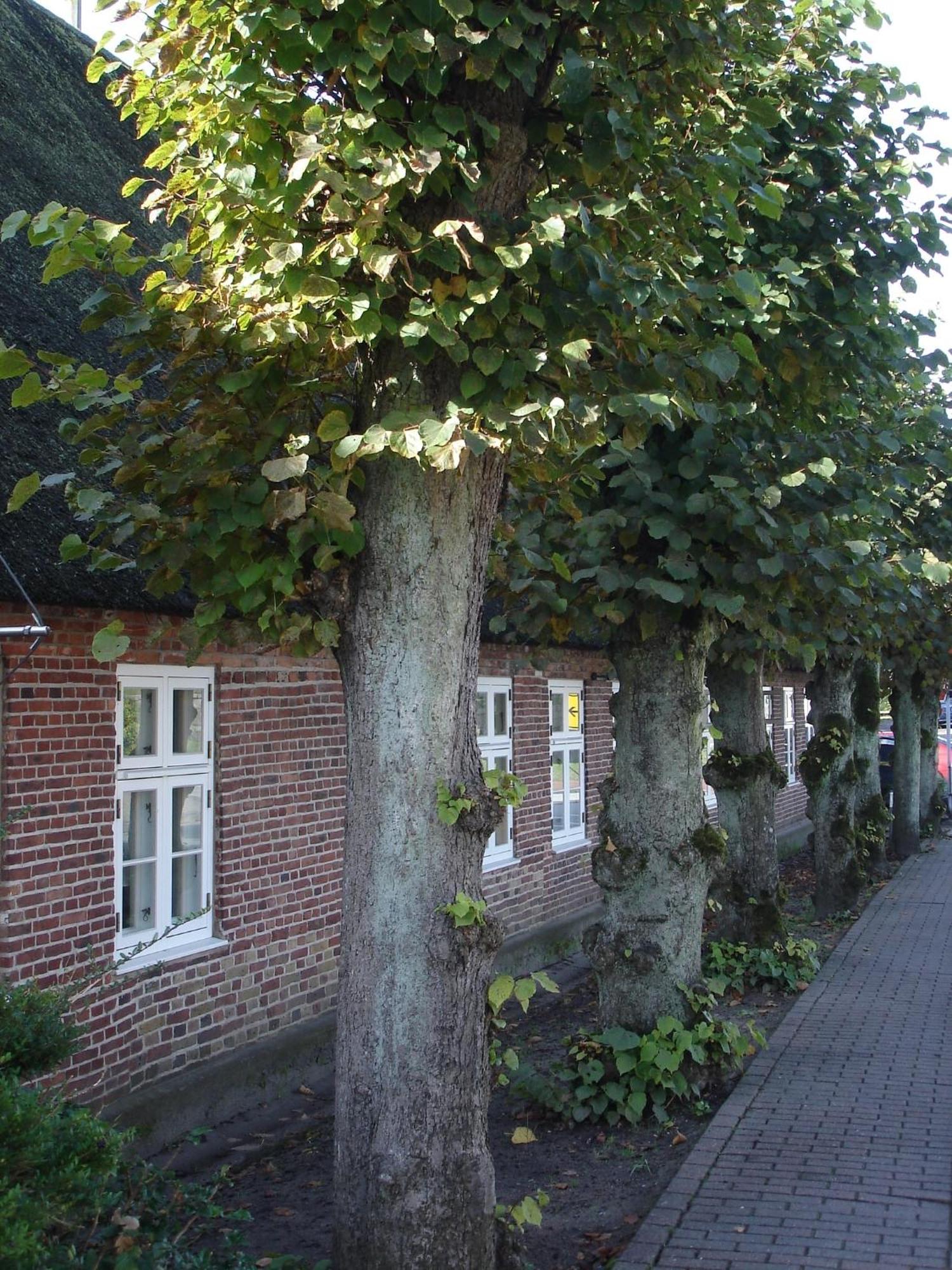 Tetens Hotel